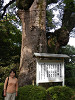 p5220653_thumb.jpg