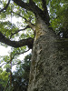 p5220655_thumb.jpg
