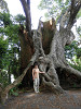 p5220671_thumb.jpg