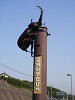 p5240808_thumb.jpg