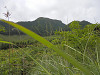 p5250974_thumb.jpg