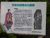 p5261147_thumb.jpg