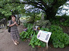 p5261148_thumb.jpg