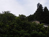 p5270006_thumb.jpg