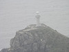p5280256_thumb.jpg