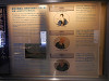 p5290332_thumb.jpg