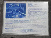 p5290369_thumb.jpg