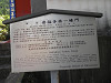 p5300394_thumb.jpg