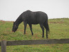 pa030084_thumb.jpg