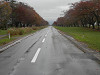 pa030087_thumb.jpg