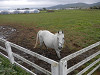 pa030097_thumb.jpg