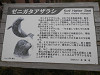 pa030113_thumb.jpg