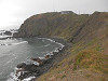 pa030115_thumb.jpg
