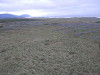 pa030124_thumb.jpg
