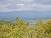 pa040142_thumb.jpg