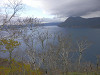 pa040209_thumb.jpg
