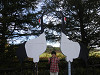 pa050244_thumb.jpg