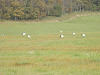 pa050247_thumb.jpg