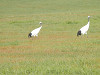 pa050248_thumb.jpg