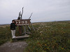 pa060340_thumb.jpg