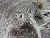 pa060350_thumb.jpg