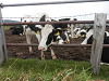 pa060389_thumb.jpg