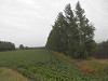 pa060404_thumb.jpg