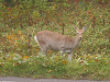 pa070434_thumb.jpg