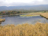 pa070448_thumb.jpg