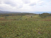pa070455_thumb.jpg