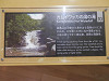 pa070494_thumb.jpg