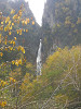 pa080584_thumb.jpg