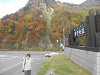 pa080598_thumb.jpg