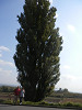 pa090680_thumb.jpg