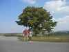 pa090689_thumb.jpg