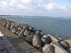 pa110749_thumb.jpg