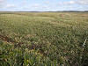 pa110796_thumb.jpg