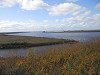 pa110815_thumb.jpg