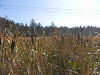 pa120915_thumb.jpg