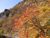 pa120935_thumb.jpg