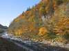 pa120938_thumb.jpg