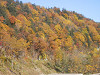 pa120939_thumb.jpg