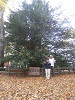 pa130955_thumb.jpg
