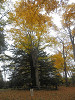 pa130957_thumb.jpg
