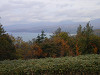 pa130968_thumb.jpg