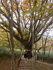 pa130971_thumb.jpg