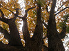 pa130973_thumb.jpg
