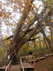 pa130976_thumb.jpg