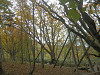 pa130977_thumb.jpg