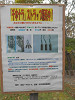 pa130978_thumb.jpg
